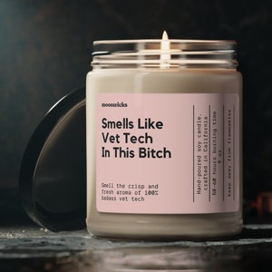 Smells Like Vet Tech In This Bitch Soy Wax Candle, Gift For Veterinary Technician, Licensed Vet Technician Gift, Eco Friendly 9oz. Candle