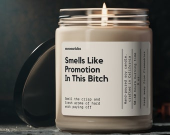 Smells Like Promotion In This Bitch Soy Wax Candle, Funny Promotion Gift, Gift For Promotion, Work Promotion Gift, Eco Friendly 9oz. Candle