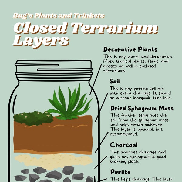 Diy Terrarium Etsy