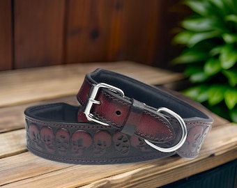 May include: A dark brown leather dog collar with a silver buckle and skull design. The collar is rolled and has a black lining.