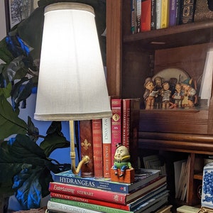 Lamps, Bookshelf Lamp, Literary Lamps, Bookcase Lamp image 3