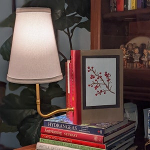 Lampe livre Gifts of Nature - Lampe festive des fêtes avec une lueur chaude
