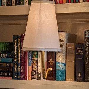 Lamps, Bookshelf Lamp, Literary Lamps, Bookcase Lamp image 5