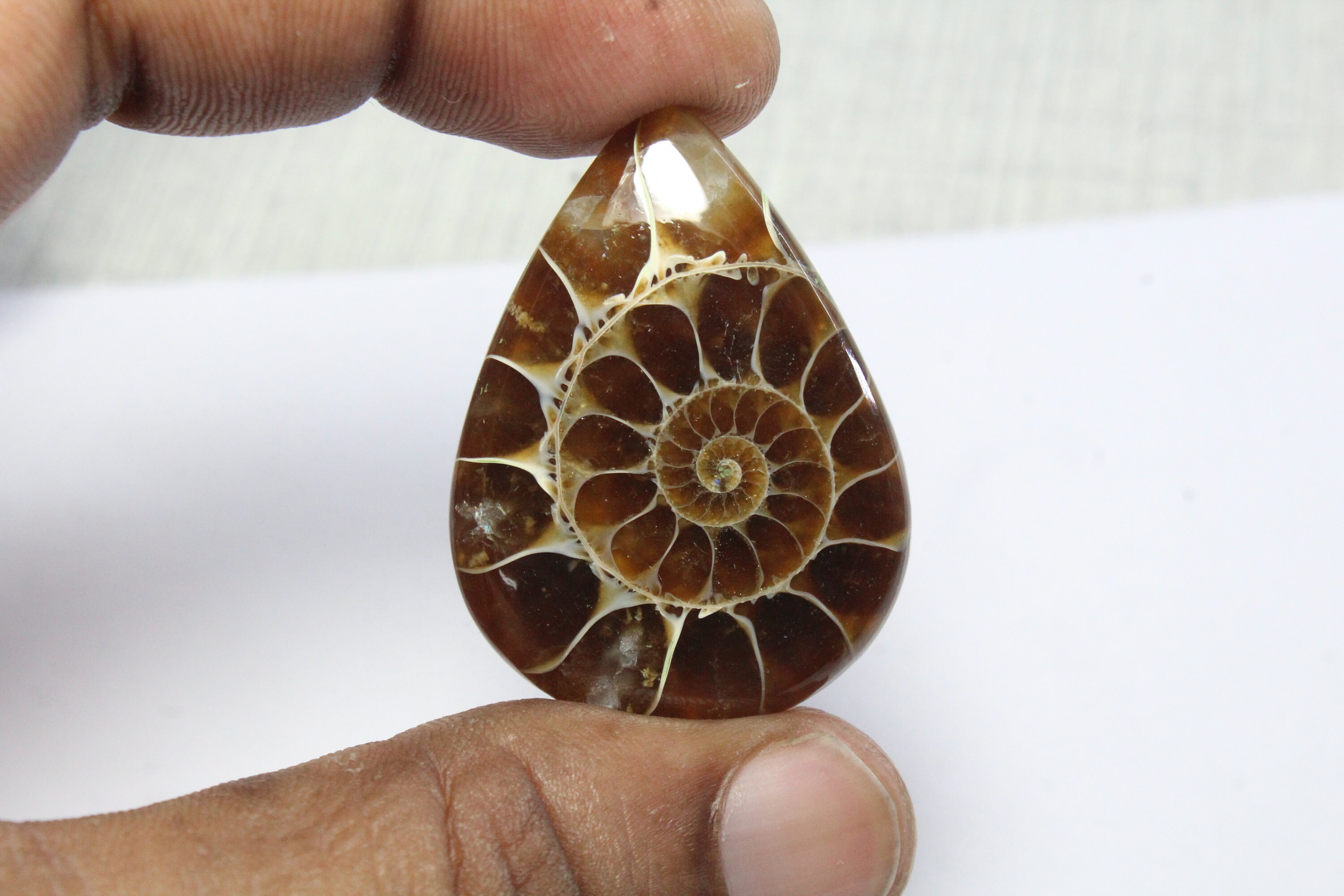 Natural Ammonite Fossil Cabochon Polished Ammonite Fossil Gemstone