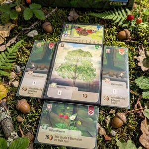 Könnte beinhalten: Ein Brettspiel mit Karten, die Bäume, Tiere und Beeren zeigen, angeordnet auf Moos. Eicheln und Blätter umgeben die Karten. Die Box zeigt "2024" und "Lookout Spiele GREENLINE". Das Spielthema ist Natur.