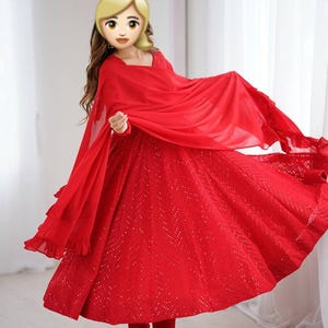 Lucknowi Sequins Anarkali Gown Set: Indian Wedding Party Dress
