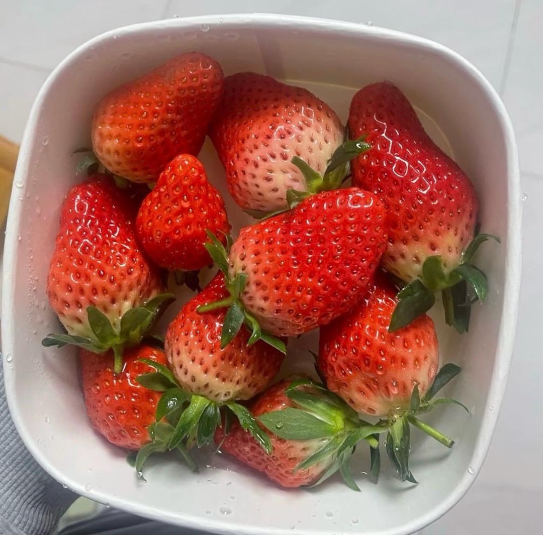 Delicious Japanese Beni Hoppe/red Cheeks 紅ほっぺ红颜草莓