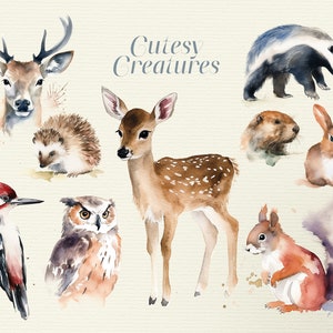 23 Watercolour cute woodland animals clipart, PNG with transparency, deep vivid colours, nature, forest, deer, bunny, hedgehog, squirrel