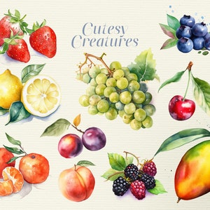 29 Clipart de fruits mignons aquarelle, PNG avec transparence, couleurs vives profondes, nature, mangue, cerise, pomme, citron, raisin, banane