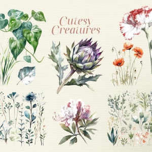 49 aquarelle plantes clipart, aquarelle, prairie, sauvage, PNG avec transparence, botanique, nature, ferme, champ, fleurs, herbe, feuilles