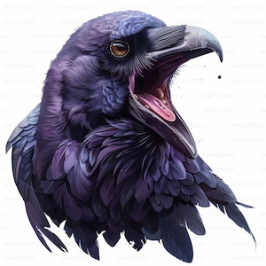 Raven Crow Bird Portrait Clipart, 37 hoge kwaliteit afbeeldingen JPGs Digitale Download, Card Making Junk Journal, JPGs Wall Art Bundle