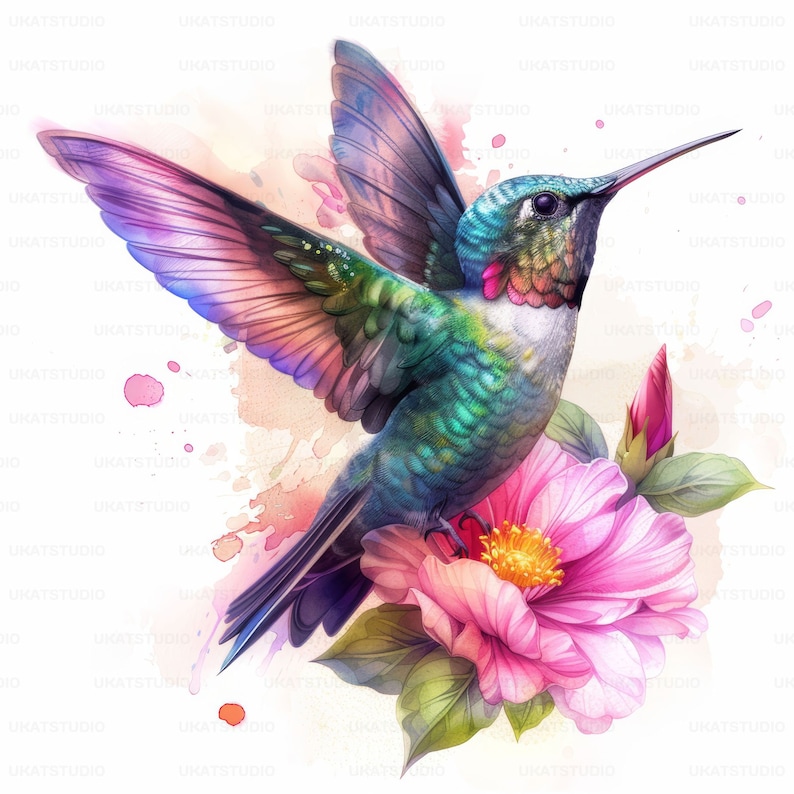 Colorful Hummingbird With Flower Clipart , 27 High Quality Images JPGs Digital Download , Card Making Junk Journal , JPGs Wall Art Bundle image 4