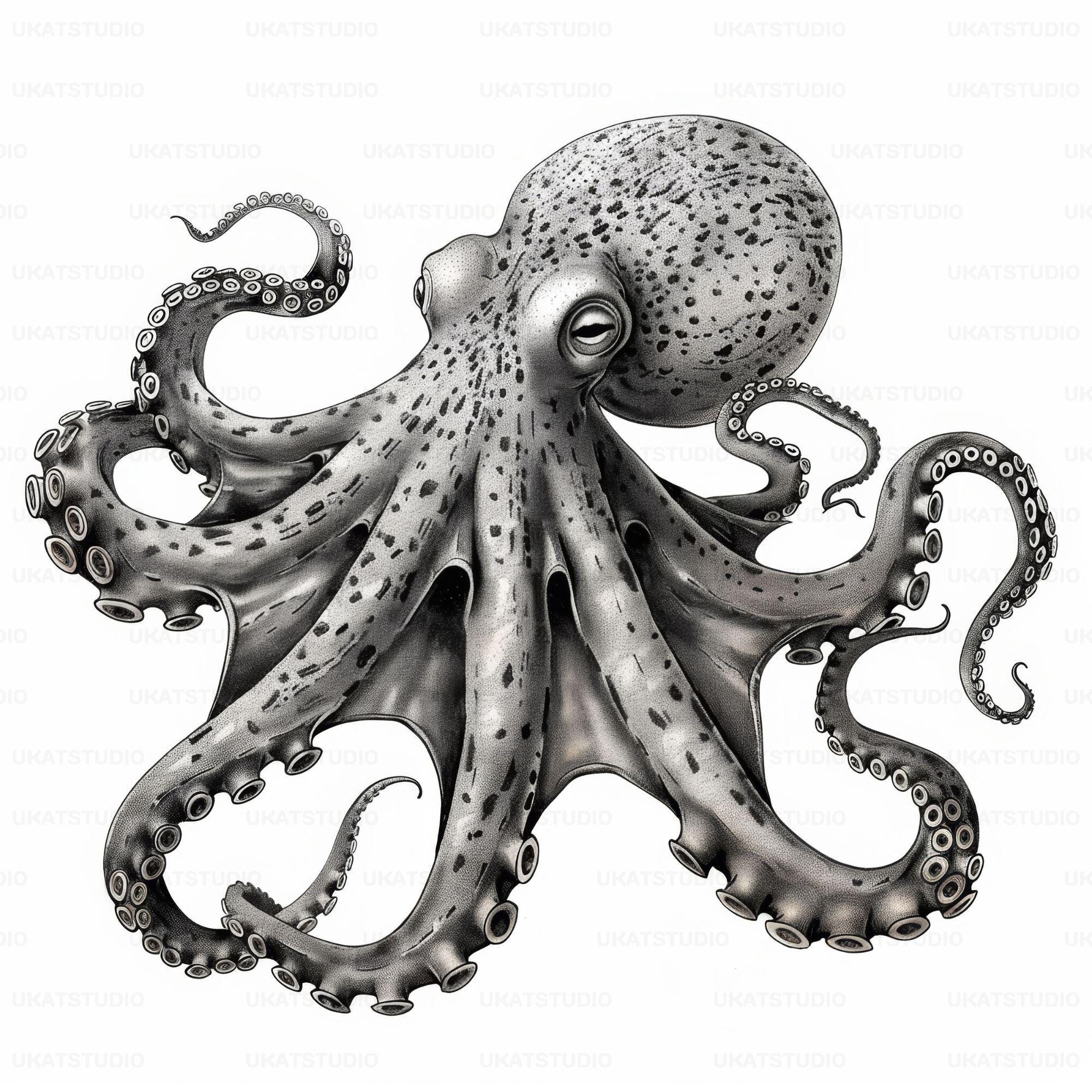 Black With White Octopus Clipart , 23 High Quality Images Jpgs