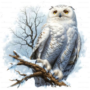 Blanche neige avec hibou Portrait clipart, téléchargement numérique JPG 37 images de haute qualité, carnet de voyage pour la fabrication de cartes, lot d'art mural JPG