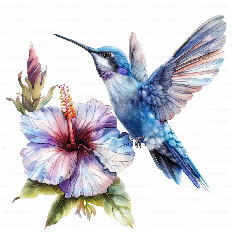 Colorful Hummingbird With Flower Clipart , 27 High Quality Images JPGs Digital Download , Card Making Junk Journal , JPGs Wall Art Bundle image 2