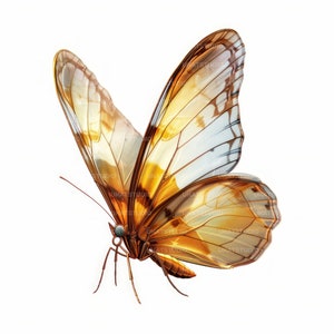 Clipart de borboleta colorida, 18 imagens de alta qualidade JPGs download digital, criação de cartões Junk Journal, pacote de arte de parede JPGs