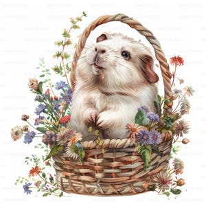 Cute Watercolor Guinea Pig Basket Clipart , 28 High Quality Images JPGs Digital Download , Card Making Junk Journal , JPGs Wall Art Bundle