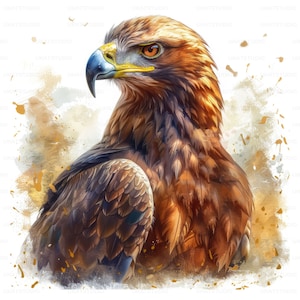 Adelaar met gouden kleur portret clipart, 27 hoge kwaliteit afbeeldingen JPGs digitale download, kaart maken junk Journal, JPGs Wall Art bundel