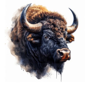 Buffalo Face Portrait Clipart , 12 High Quality Images JPGs Digital Download , Card Making Junk Journal , JPGs Wall Art Bundle