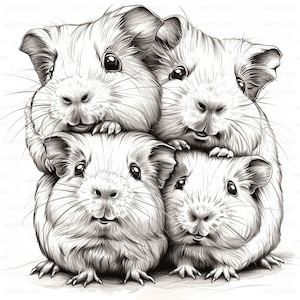 Schattige tekening cavia grappige clipart, 24 hoge kwaliteit afbeeldingen JPGs digitale download, kaart maken junk Journal, JPGs Wall Art bundel