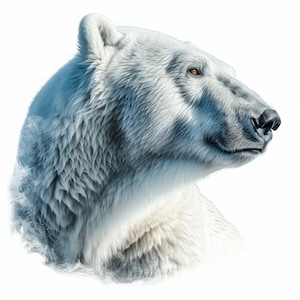 Polar White Bear Clipart , 20 High Quality Images JPGs Digital Download , Card Making Junk Journal , JPGs Wall Art Bundle