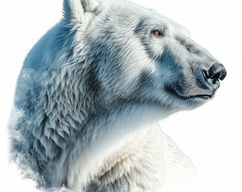 Polar White Bear Clipart , 20 High Quality Images JPGs Digital Download , Card Making Junk Journal , JPGs Wall Art Bundle