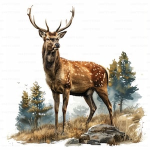 Cerf avec des cliparts Portrait sur le terrain, 33 images de haute qualité en téléchargement numérique JPG, carnet de voyage pour la fabrication de cartes, lot d'art mural JPG