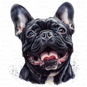Clipart de retrato de cachorro brincalhão de buldogue francês, 23 imagens de alta qualidade JPGs download digital, criação de cartões Junk Journal, pacote de arte de parede JPGs