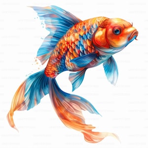 Watercolor Beautiful Goldfish Clipart , 26 High Quality Images JPGs Digital Download , Card Making Junk Journal , JPGs Wall Art Bundle