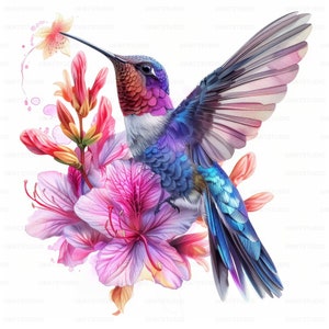 Colorful Hummingbird With Flower Clipart , 27 High Quality Images JPGs Digital Download , Card Making Junk Journal , JPGs Wall Art Bundle image 5