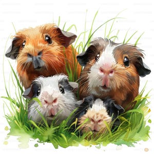 Schattig aquarel cavia gras clipart, 24 hoge kwaliteit afbeeldingen JPGs digitale download, Card Making Junk Journal, jpgs Wall Art bundel