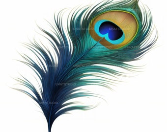 Peacock Feathers Clipart , 25 High Quality Images JPGs Digital Download , Card Making Junk Journal , JPGs Wall Art Bundle