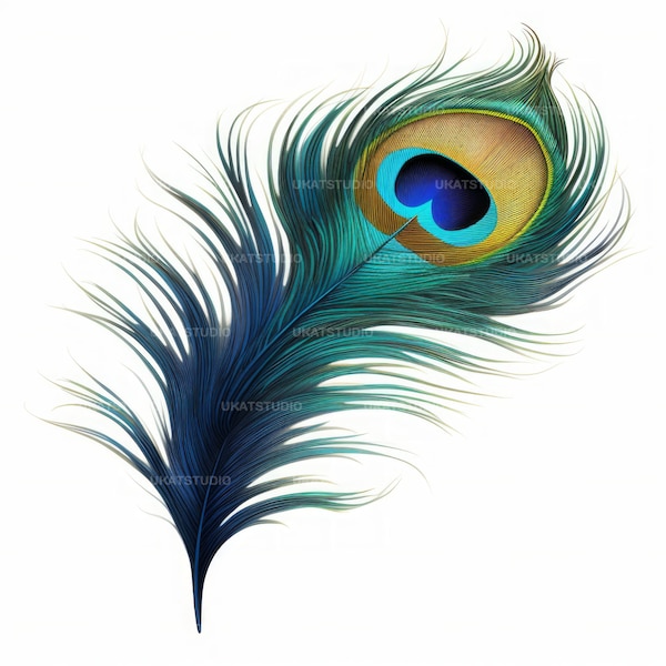 Peacock Feathers Clipart , 25 High Quality Images JPGs Digital Download , Card Making Junk Journal , JPGs Wall Art Bundle