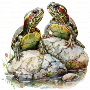 Rotohrschildkröte Portrait Clipart, 28 hochwertige Bilder JPGs Digitaler Download, Kartengestaltung Junk Journal, JPGs Wandkunst Bundle