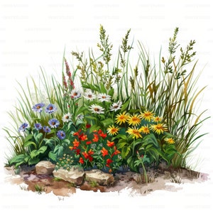 Clipart de canteiro de flores silvestres de grama de primavera, 24 imagens de alta qualidade JPGs download digital, criação de cartões Junk Journal, pacote de arte de parede JPGs