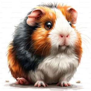 Cute Watercolor Guinea Pig Portrait Clipart , 28 High Quality Images JPGs Digital Download , Card Making Junk Journal , JPGs Wall Art Bundle