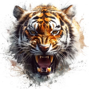 Tijger boos portret clipart, 20 hoge kwaliteit afbeeldingen JPGs digitale download, kaart maken junk Journal, JPGs Wall Art bundel