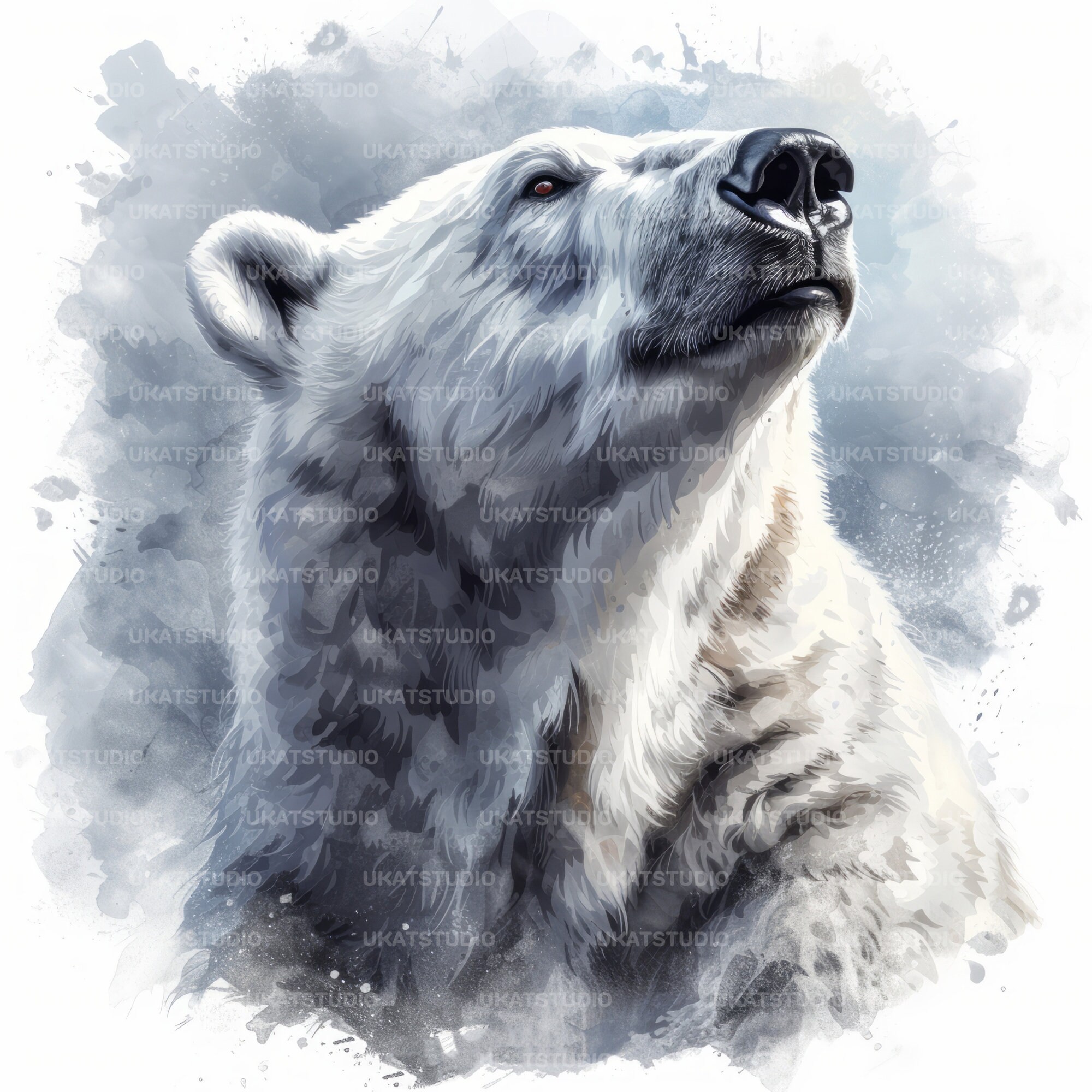 Polar White Bear Clipart , 20 High Quality Images Jpgs Digital Download ...