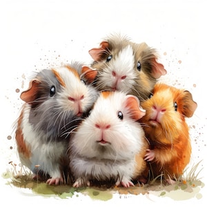 Schattig aquarel cavia grappige clipart, 14 hoge kwaliteit afbeeldingen JPGs digitale download, kaart maken junk Journal, JPGs Wall Art bundel