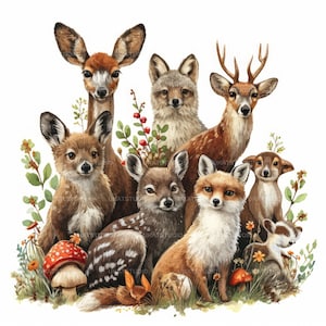 Schattig aquarel bos dier clipart, 22 hoge kwaliteit afbeeldingen JPGs digitale download, kaart maken junk Journal, JPGs Wall Art bundel