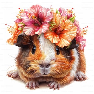 Lindo conejillo de Indias con imágenes prediseñadas de flores, 28 imágenes de alta calidad JPGs Descarga digital, Diario basura de fabricación de tarjetas, Paquete de arte de pared JPGs