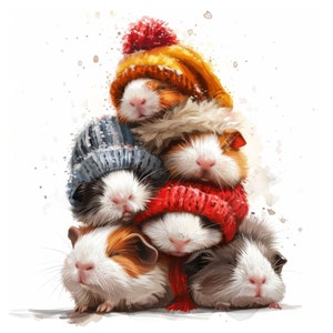 Schattig aquarel slapende cavia clipart, 35 hoge kwaliteit afbeeldingen JPGs digitale download, kaart maken junk Journal, JPGs Wall Art bundel