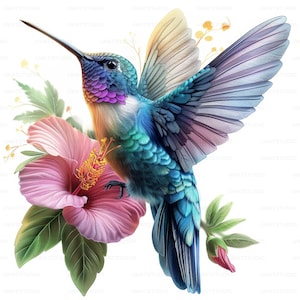 Colorful Hummingbird With Flower Clipart , 27 High Quality Images JPGs Digital Download , Card Making Junk Journal , JPGs Wall Art Bundle image 6