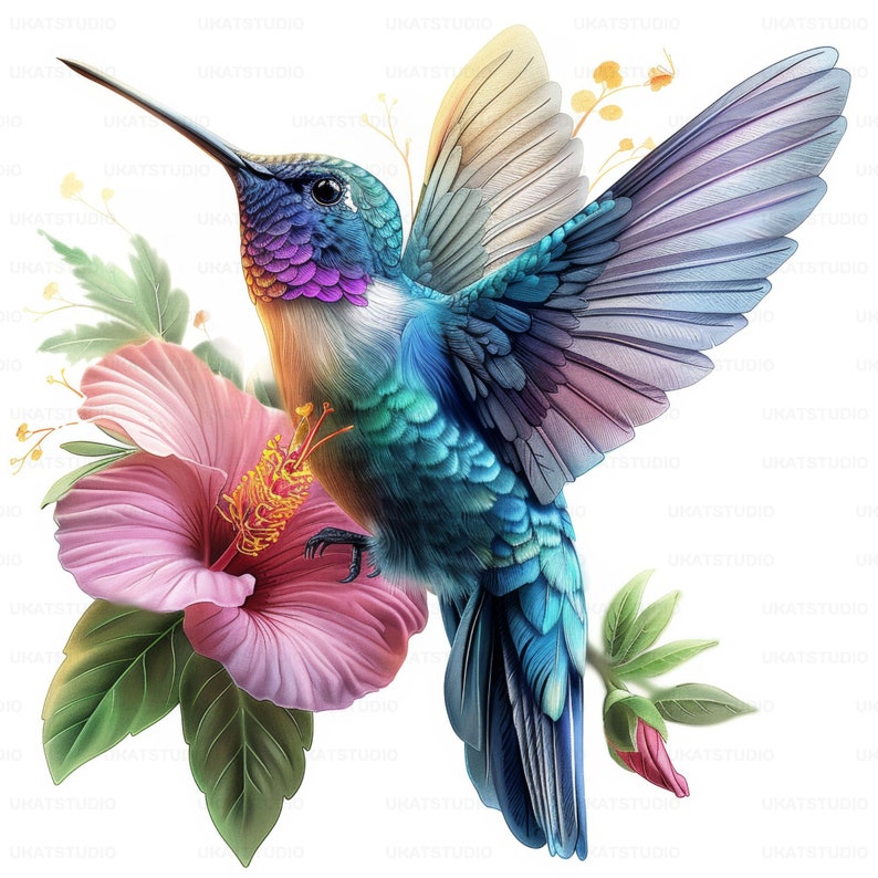 Colorful Hummingbird With Flower Clipart , 27 High Quality Images JPGs Digital Download , Card Making Junk Journal , JPGs Wall Art Bundle image 6