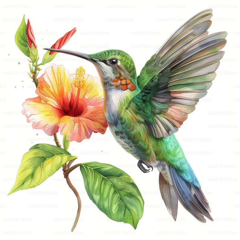 Colorful Hummingbird With Flower Clipart , 27 High Quality Images JPGs Digital Download , Card Making Junk Journal , JPGs Wall Art Bundle image 10