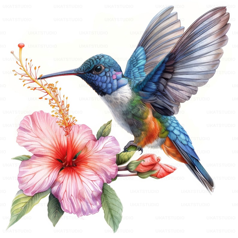 Colorful Hummingbird With Flower Clipart , 27 High Quality Images JPGs Digital Download , Card Making Junk Journal , JPGs Wall Art Bundle image 3