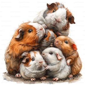 Niedliche Aquarell Meerschweinchen Familie Clipart, 26 hochwertige Bilder JPGs digitaler Download, Karte machen Junk Journal, JPGs Wand Kunst Bundle