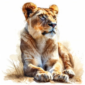 Leeuwin clipart, 22 hoge kwaliteit afbeeldingen JPGs digitale download, kaart maken junk Journal, JPGs Wall Art bundel