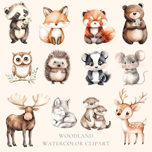 Puede incluir: Clipart de acuarela con animales del bosque, incluyendo un zorro, un b&uacute;ho, un mapache, un erizo, un tej&oacute;n, un rat&oacute;n, un alce, un ciervo, una nutria y un lobo. Los animales est&aacute;n pintados en un estilo suave y caprichoso con colores apagados.