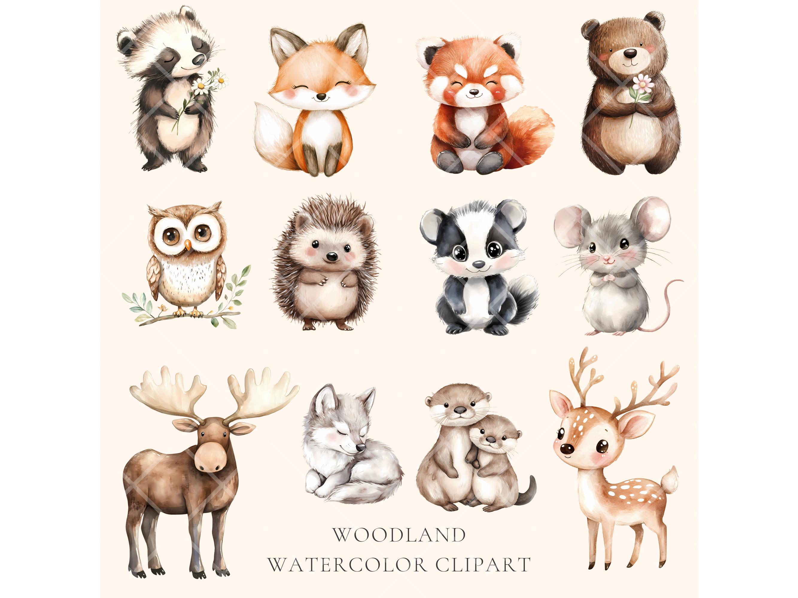 Watercolor Woodland Animals Clipart Baby Animals Woodland Clipart Cute ...